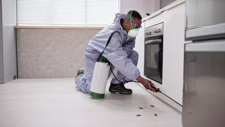 Reliable St Paul, MO Pest Control Solutions